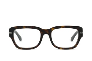 Dolce & Gabbana 0DG3408 502 54